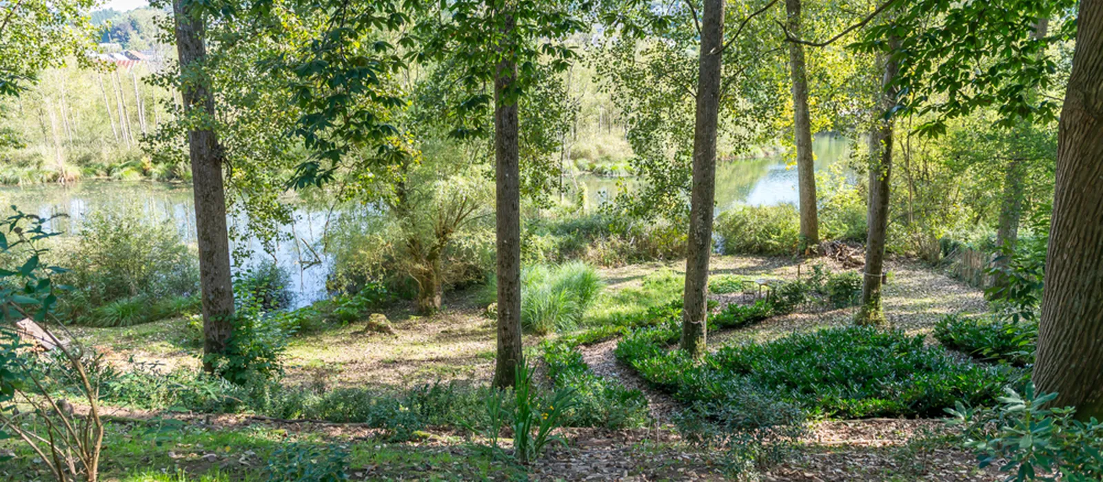 1770285768-21) wilde tuin (15)